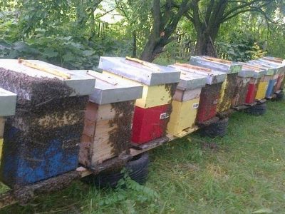Miere de albine în amestec cu fructe deshidratate și măcinate după o rețetă proprie. Produse artizanale din ceară de albine.