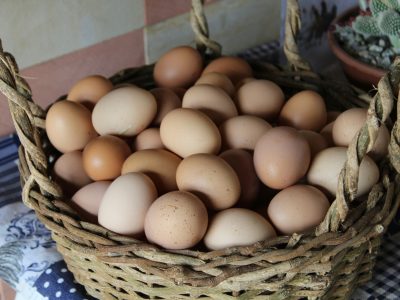 Ouă de la gaini semi libere pe sol zona bio